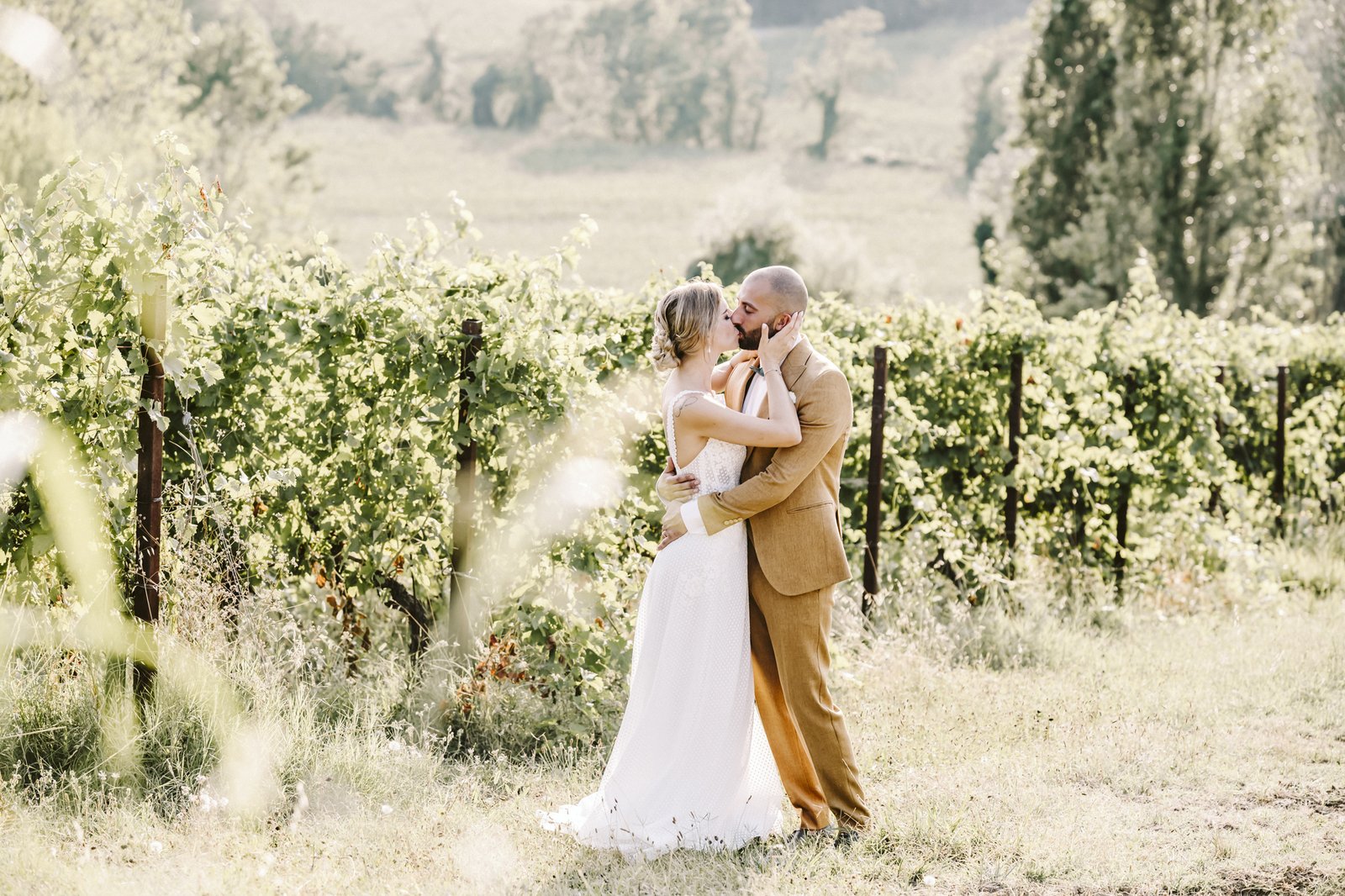 The couple kissing in the vineyard in the afternoon sun