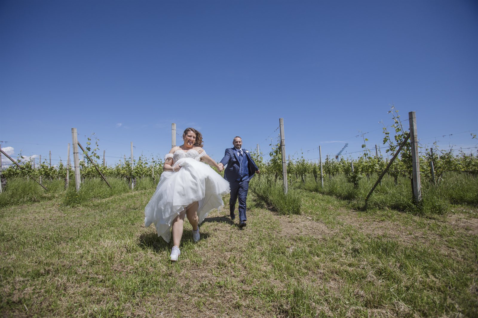The couple running between the vine rows, under a blue sky