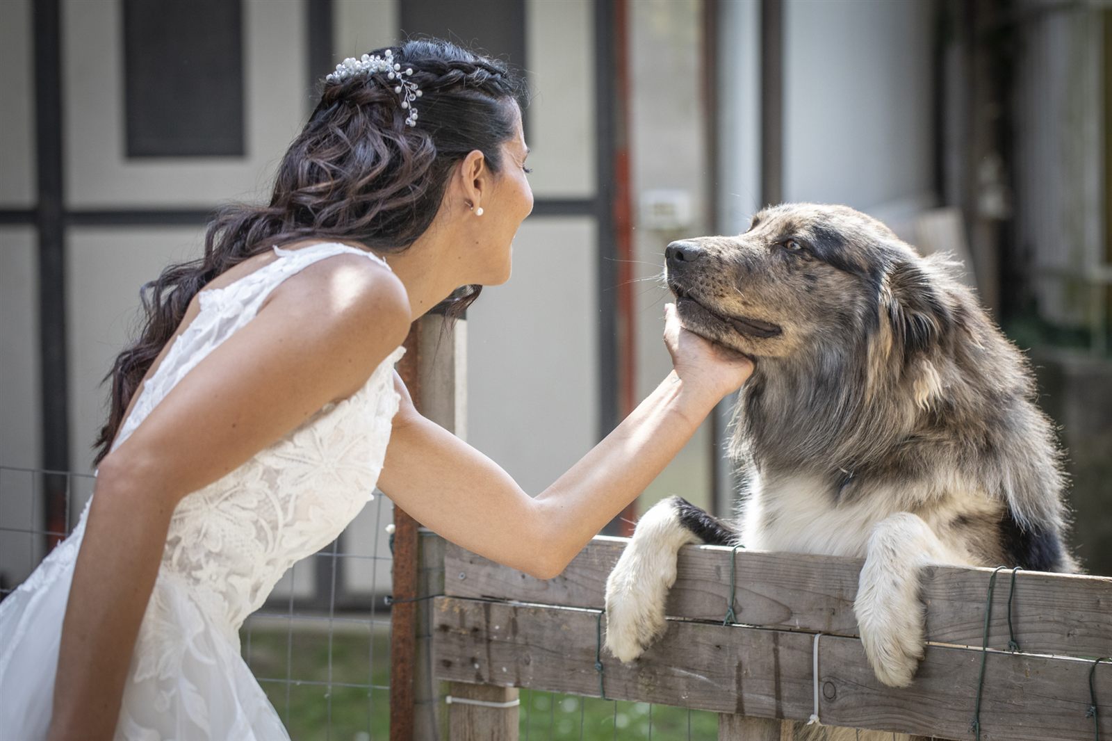 La sposa accarezza il muso del cane durante la cerimonia La sposa accarezza il muso del cane durante la cerimonia
